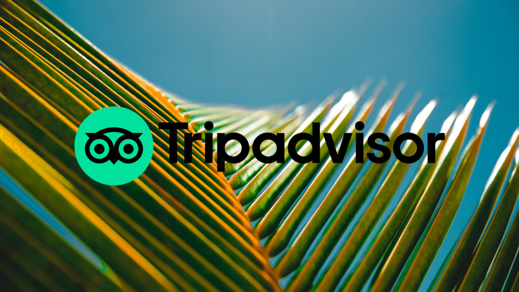 tripadvisor met tropische achtergrond